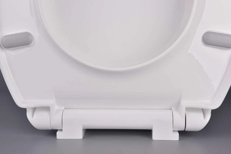 elongated potty seat
