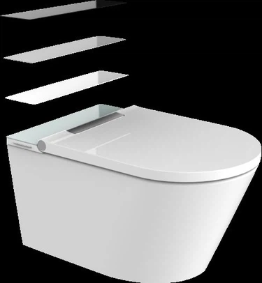 toilet and bidet in one toilet and bidet in one