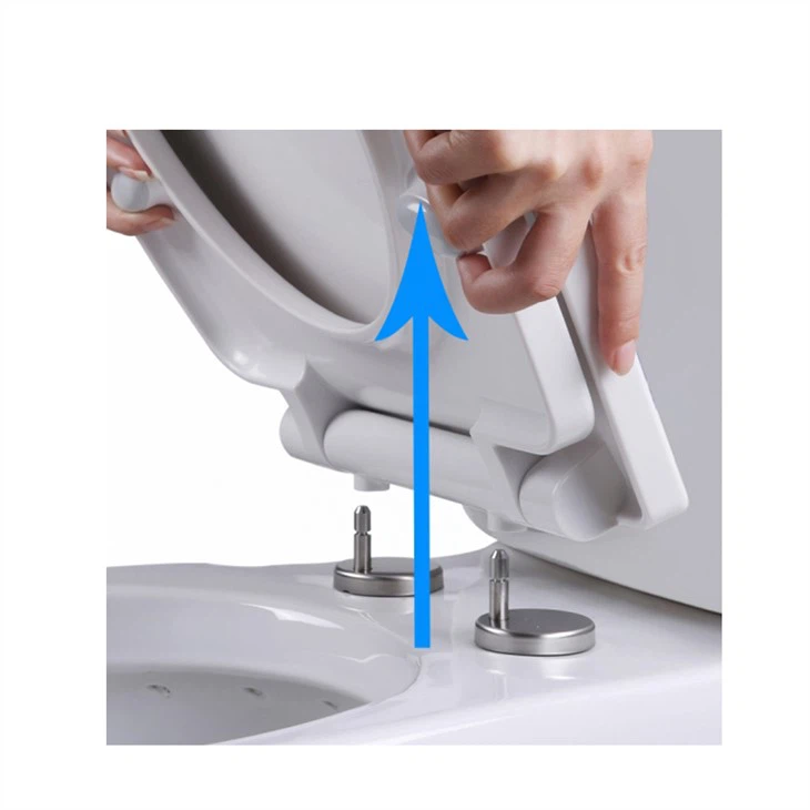 take-off-toilet-seat-hinge