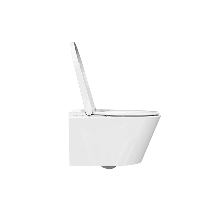 smart flush toilet