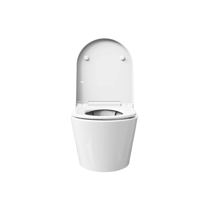 best intelligent toilet